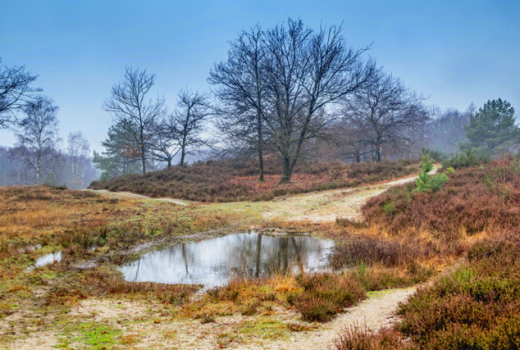 seterseheide